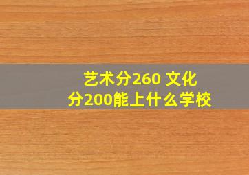 艺术分260 文化分200能上什么学校